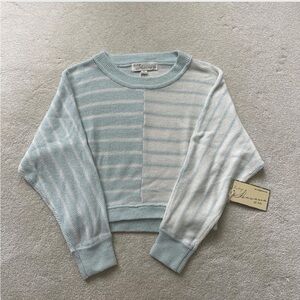 Striped Blue and White Sweater NWT